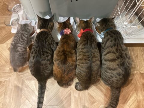シェアハウスNYA_AGO川崎新町
